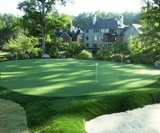 Synthetic Sports Turf
