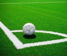 Synthetic Sports Turf