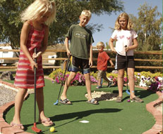 Artificial Soccer Turf