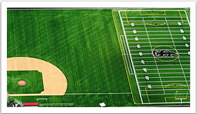 Synthetic Sports Turf