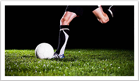 Artificial Grass