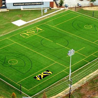 Artificial Grass 