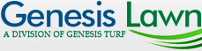 Synthetic Sports Turf
