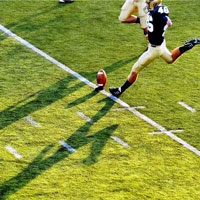 Artificial Sports Turf 