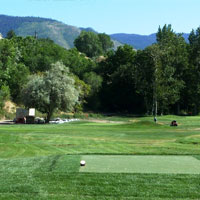 Artificial Turf