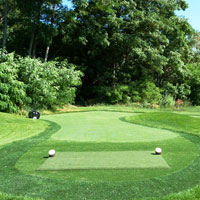 Artificial Grass 