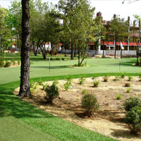 Artificial Sports Turf 