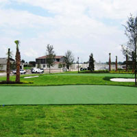 Synthetic Sports Turf