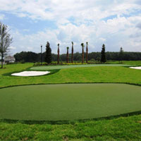 Artificial Grass 