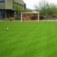 Artificial Turf