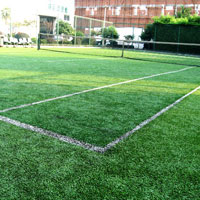 Artificial Grass 