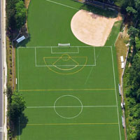 Sports Turf