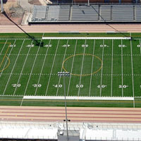Sports Field Turf