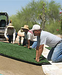 Sports Turf